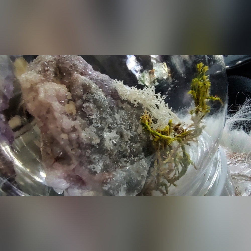 Plastic Moss Dome w/ Thunder Bay Amethyst - Picture 7 of 9